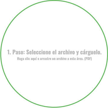 Carga tu proyecto en el software